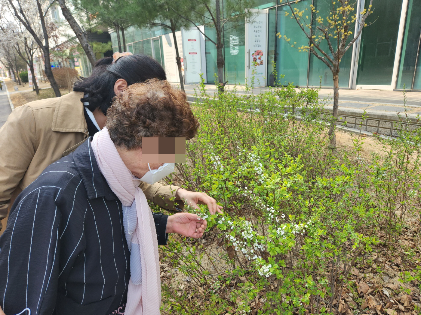 /user/l/leere/editor/2305/7342cee73e91e4398132ecf7c1b16667_1685515064_1966.jpg 이미지크게보기